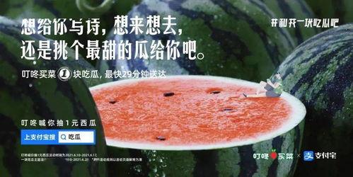 叫别人吃瓜文案,揭秘那些引人入胜的“吃瓜”故事