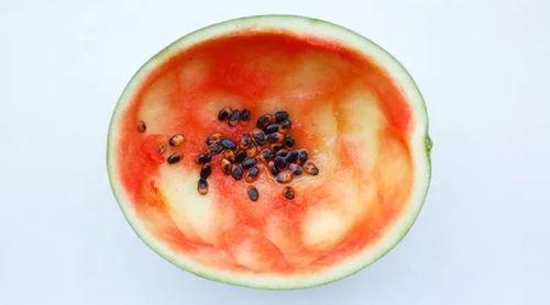 吃瓜视频真实吃西瓜,揭秘吃瓜视频里的真实西瓜盛宴