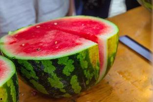 贵州大学天台吃瓜,一场别开生面的“吃瓜”盛宴