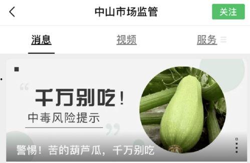 蜜瓜吃者发苦,揭秘吃者苦涩体验背后的真相