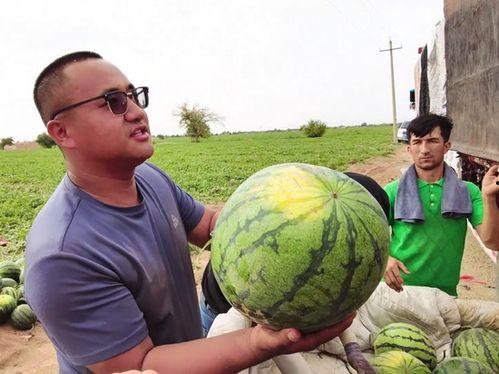吃瓜永不停歇,永不停歇的娱乐盛宴