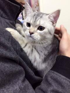 小狗吃瓜视频合集大全,小狗吃瓜视频合集大盘点